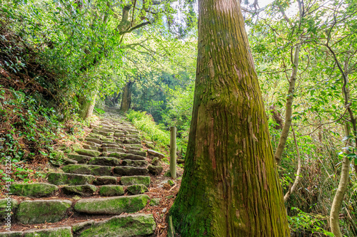                                                                      Mt.Houmanzan Fukuoka-ken Dazaifu city