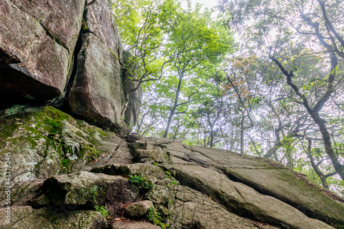 宝満山登山道　福岡県太宰府市　Mt.Houmanzan Fukuoka-ken Dazaifu city photo