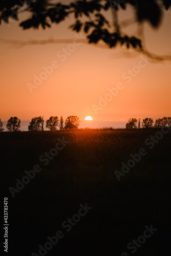 Colorful orange sunset with tree silhouette in the german countryside with fields and panorama horizon views. Dramatic and moody sunset with dark clouds.
