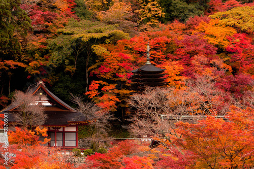 Bild auf Leinwand 奈良　談山神社の紅葉　遠景