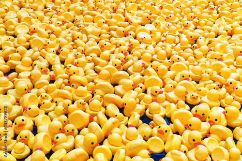 A tide of yellow rubber ducks in a swimming pool. Perfect shot for childhood.