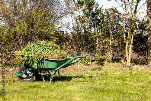 Fotografie, Obraz Spring cleaning and weeding your garden, full wheelbarrow of weeds on lawn in sm