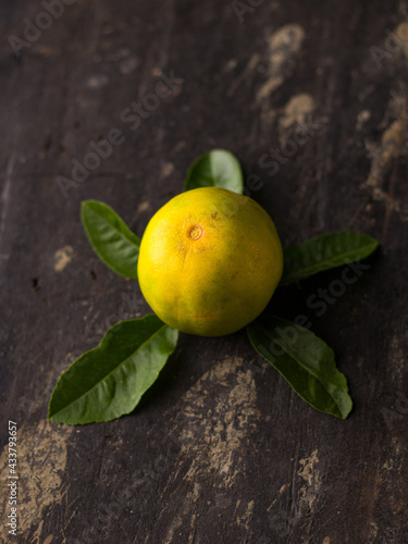 Fresh Mousambi OR Green lemon stock image on dark background. photo