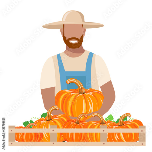 A man in work clothes and a sun hat harvests a pumpkin. Autumn harvest vector illustration on white background for krta, flyer or poster photo