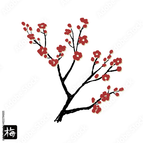 梅のイラスト　カラー