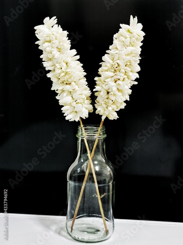 flowers in a glass