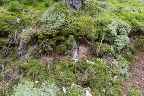 Genovevahöhle nördlich von Trier photo