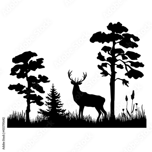 A black silhouette of a deer standing among the trees on the grass. Vector illustration of a forest with pine tree.