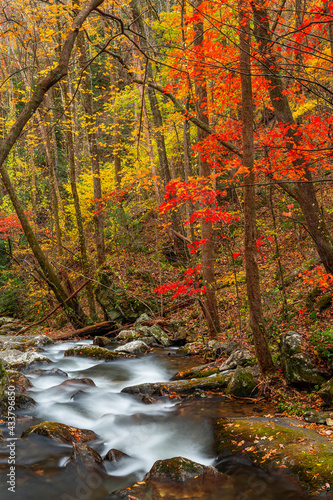 Smith Creek flowing from Anna Ruby Falls, Georgia, USA © SeanPavonePhoto