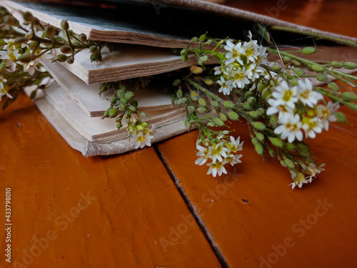 flowers lie in the book, the book lies on the brown boards. High quality photo