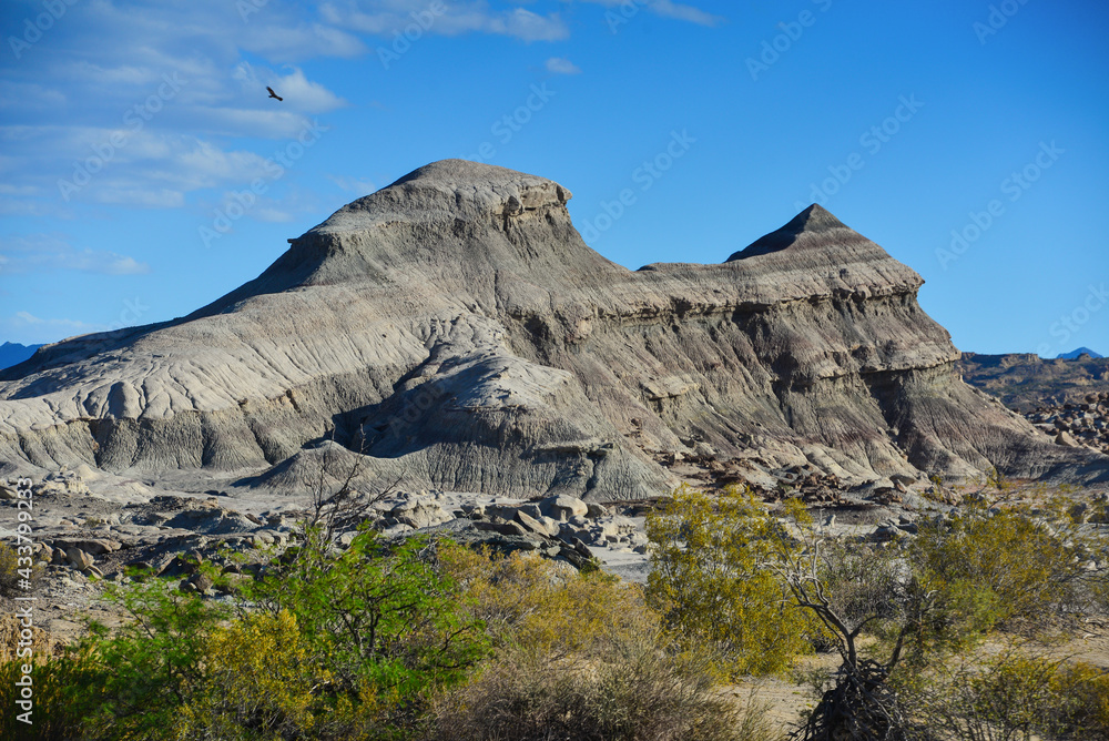 The barren prehistoric landscape of Ischigualasto Provincial Park, San Juan Province, Argentina