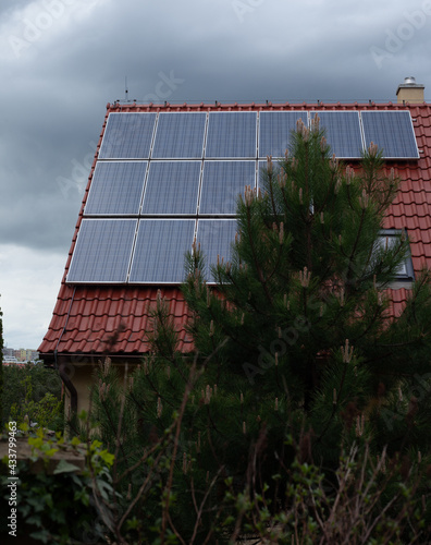 La toiture d´une maison en tuiles est recouverte de panneaux solaires. Il y a un pin au premier plan.