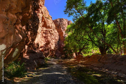 A peaceful side gorge on the Ruta 40 road to La Poma and the Abra del Acay mountain pass, Salta Province, northwest Argentina
