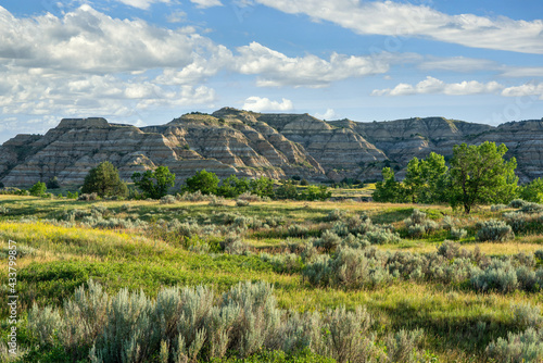 Fototapeta Naklejka Na Ścianę i Meble -  Early morning at Theodore Roosevelt National Park - North Unit - North Dakota Badlands 