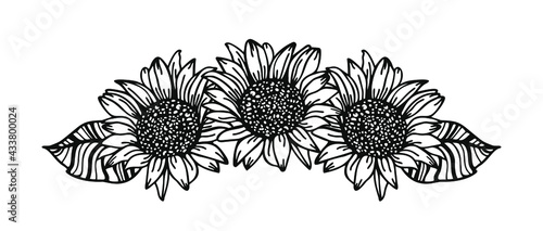Flower border, Sunflower swag, vector illustration