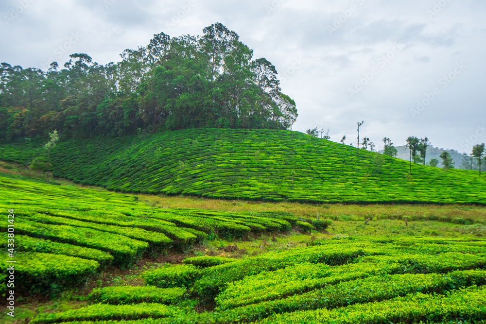 Valparai is a hill station in the south Indian state of Tamil Nadu. Nallamudi Viewpoint has vistas of the Anamalai Hills in the Western Ghats and surrounding tea estates. To the northwest, in Kerala.