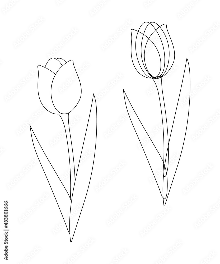 Tulip flower sketch, made of black outlines in a simple graphic style on a white background. Hand-drawn vector design element. Clipart for decorating gifts, bouquets, cosmetics. Print, card, label Tulip flower sketch, made of black outlines in a simple graphic style on a white background. Hand-drawn vector design element. Clipart for decorating gifts, bouquets, cosmetics. Print, card, label