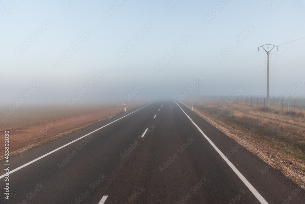 Fototapeta premium Straight road on a plain with fog in the background and poles with electrical wiring on the edge.