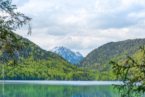 View of the Alps from Alpsee lake. Germany, Bavaria, Schwangau © porterre