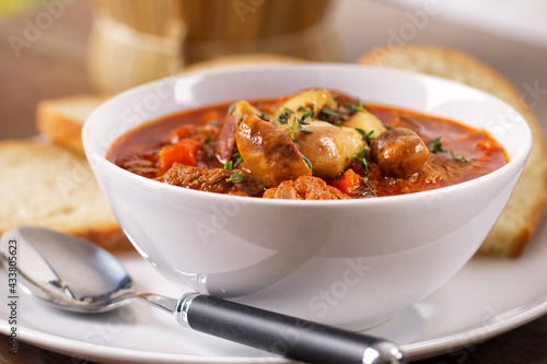 Hot Stew Bowl with Mushrooms. High quality photo.