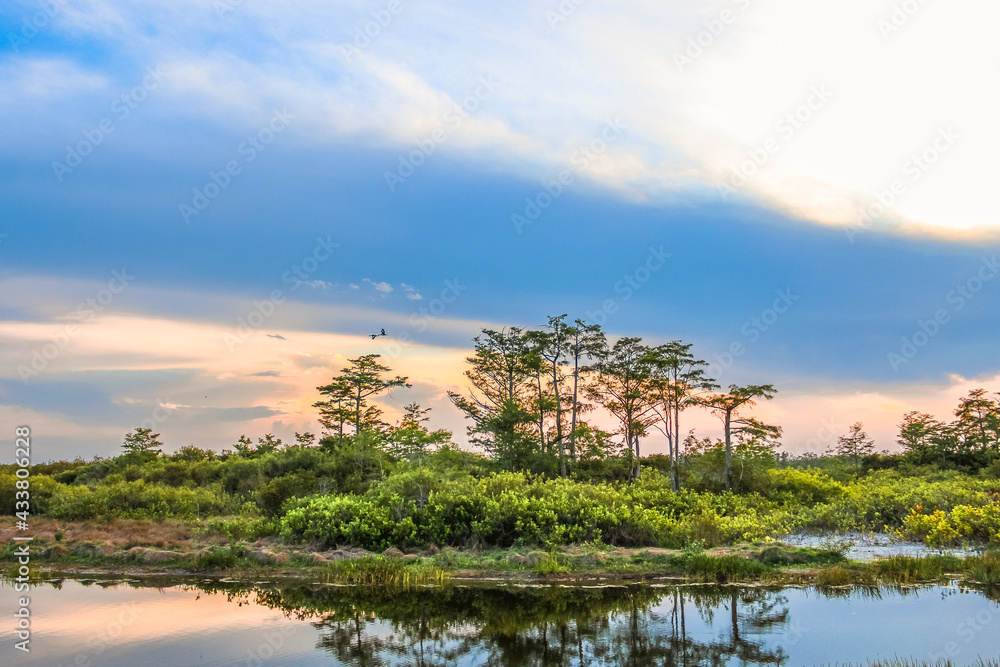 sunset in the swamp refecting in the river sunset in the swamp refecting in the river