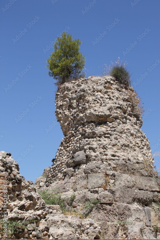 Little tree on ruins, kos, greece