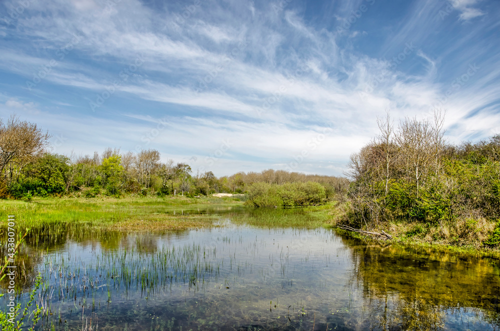 Shallow pond under a blue sky with cirrus clouds in the dunes near Rockanje on the island of Voorne, The Netherlands on a day in springtime