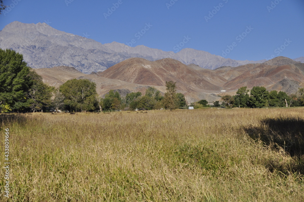 Obraz premium landscape with mountains