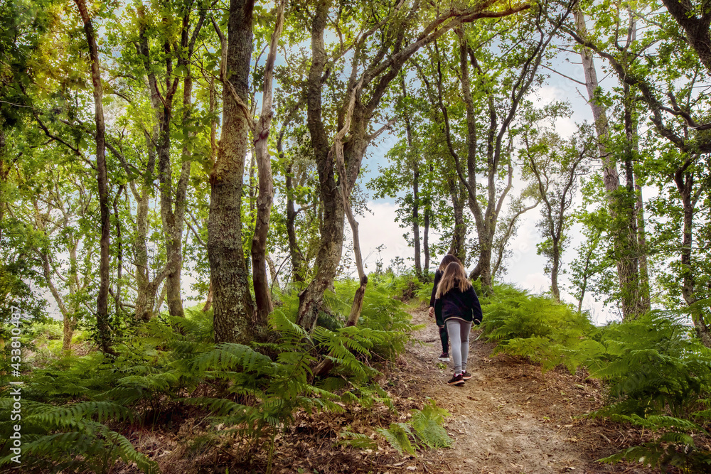 cute young girl and her mom walking in a beautiful forest cute young girl and her mom walking in a beautiful forest