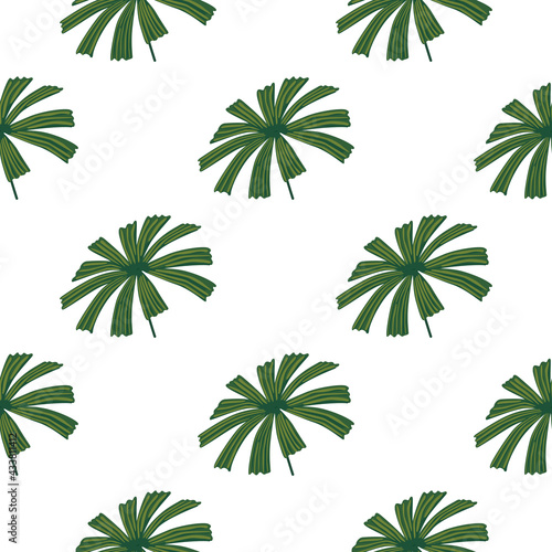 Isolated botanic seamless pattern with green palm licuala ornament. White background. Simple style.