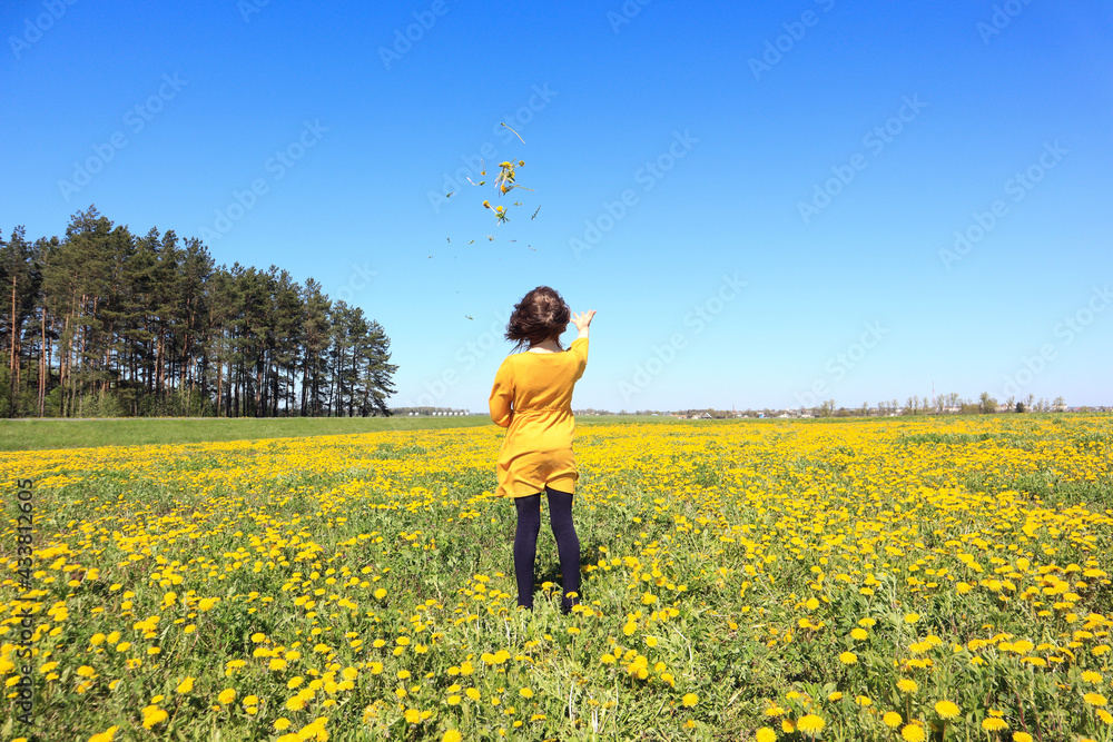 A ten-year-old child in a yellow dress throws a bouquet of dandelions up in a spring meadow against a blue sky A ten-year-old child in a yellow dress throws a bouquet of dandelions up in a spring meadow against a blue sky