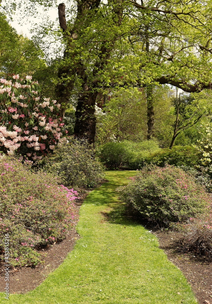 English Landscape garden in Spring English Landscape garden in Spring