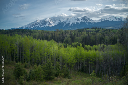 Spring in the Mountains of Canada