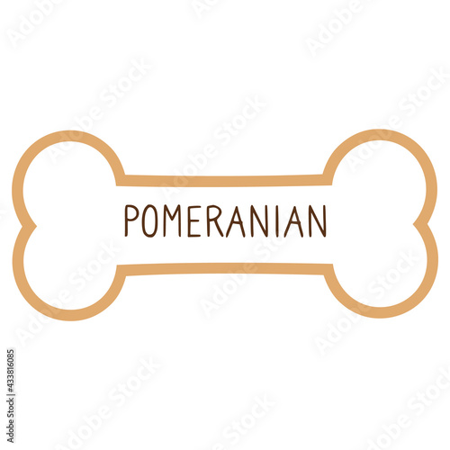 Cute cartoon Pomeranian text on collar dog tag vector clipart. Purebred doggy identification medal for pet id. Domestic dog for pet pooch. 