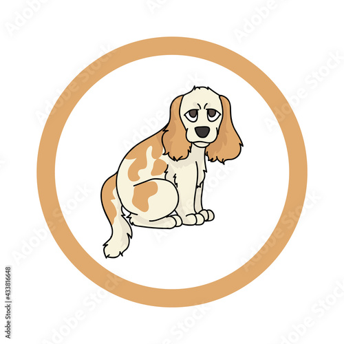 Cute cartoon Cocker Spaniel in circle puppy vector clipart. Pedigree kennel doggie breed for kennel club. Purebred domestic dog training for pet parlor. Illustration mascot. Isolated canine. 