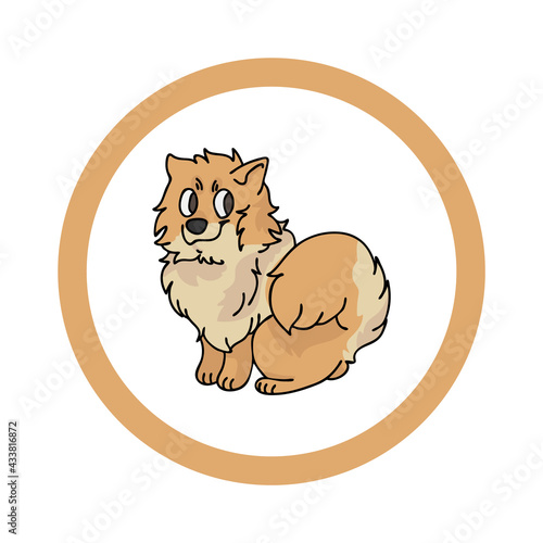 Cute cartoon Pomeranian in circle dog vector clipart. Pedigree kennel doggie breed for kennel club. Purebred domestic dog training for pet parlor. Illustration mascot. Isolated canine. 