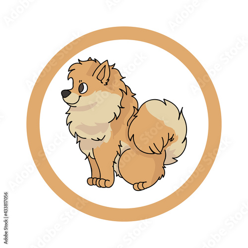 Cute cartoon Pomeranian in circle dog vector clipart. Pedigree kennel doggie breed for kennel club. Purebred domestic dog training for pet parlor. Illustration mascot. Isolated canine. 