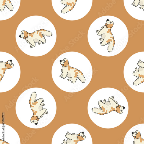 Cute cartoon Cocker Spaniel dog vector clipart. Pedigree kennel doggie breed for kennel club. Purebred domestic puppy training for pet parlor illustration mascot. Isolated canine breed. 