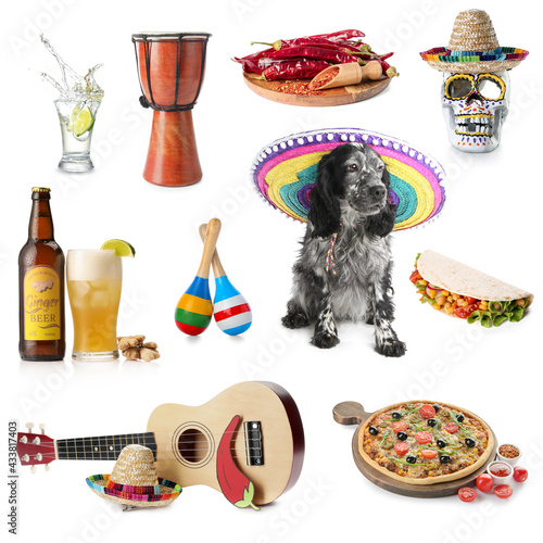 Cute dog with symbols of Me...