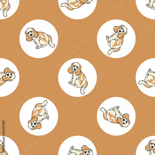 Cute cartoon Cocker Spaniel dog vector clipart. Pedigree kennel doggie breed for kennel club. Purebred domestic puppy training for pet parlor illustration mascot. Isolated canine breed. 