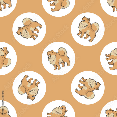 Hand drawn cute Pomeranian dog breed in polka dot seamless vector pattern. Purebred pedigree puppy domestic on dotty background. Dog lover spitz all over print. Kennel club pooch. 