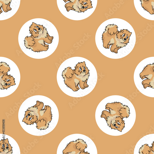 Hand drawn cute Pomeranian dog breed in polka dot seamless vector pattern. Purebred pedigree puppy domestic on dotty background. Dog lover spitz all over print. Kennel club pooch. 