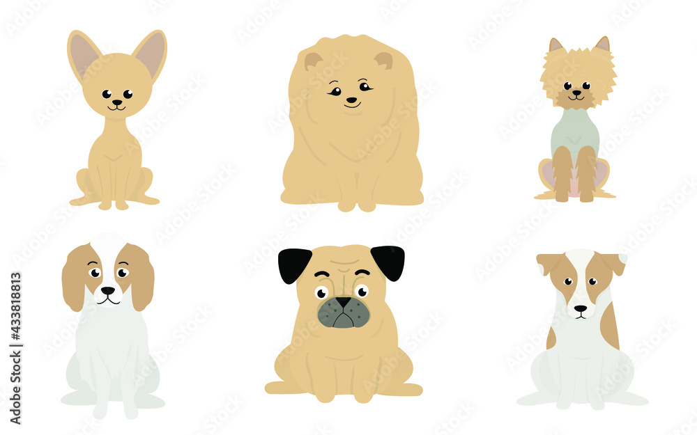 Obraz premium A set of 6 small dog breeds. Chihuahua, spitz, yorkshire terrier, spaniel, pug, jack russell terrier. Cute little dogs on a gray background. Vector illustration in a flat style.
