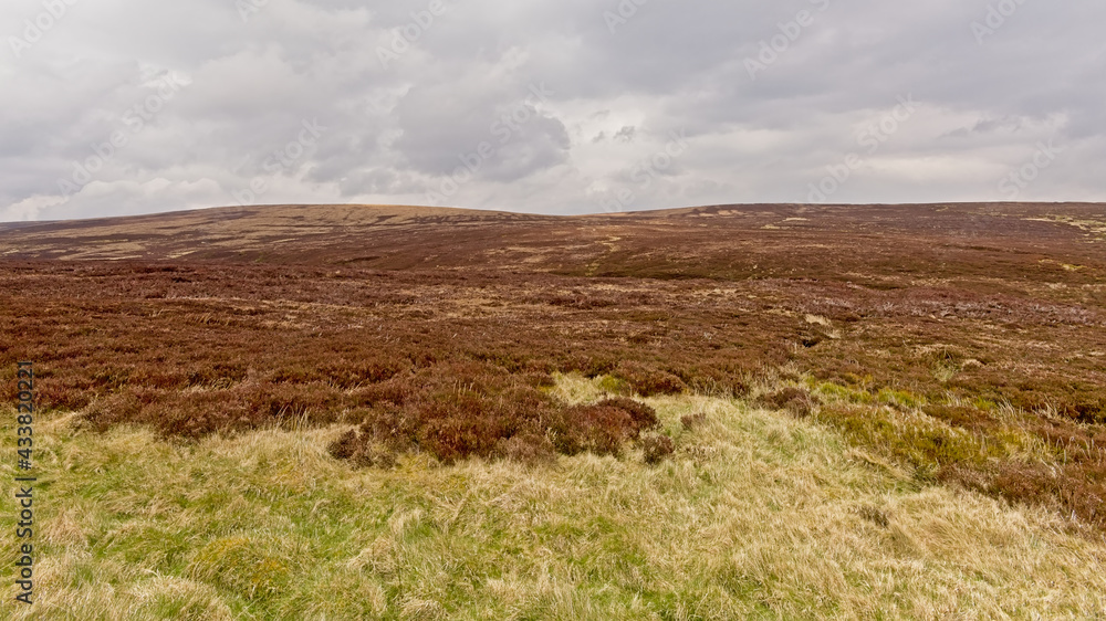 Fototapeta premium Wicklow mountains with green and brown peatland on a foggy day. Dublin, Ireland