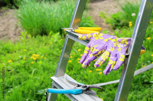 Gloves and garden shears. Gardening in May. Pruning dry and damaged branches. The profession is a gardener, a landscape designer.