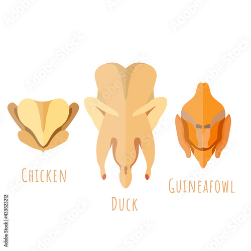 Flat chicken, duck and guineafowl raw carcasses