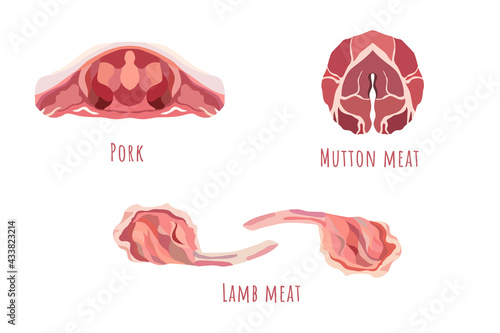 Flat vector of a raw pork, mutton and lamb meat