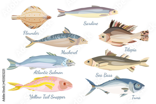 Set with different sea fishes made in flat style