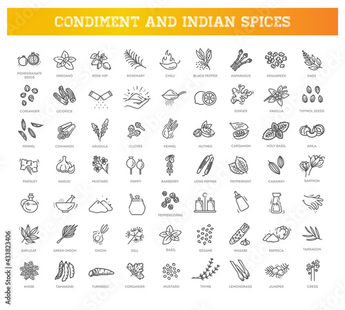 Condiment icons set. Outline set of condiment vector icons