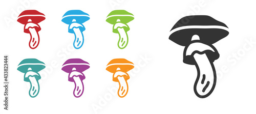 Black Psilocybin mushroom icon isolated on white background. Psychedelic hallucination. Set icons colorful. Vector